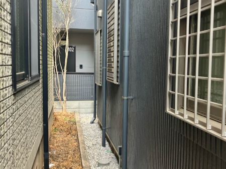 Before画像